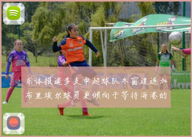 东体报道多支中超球队冬窗追逐加布里埃尔球员更倾向于等待海港的机会